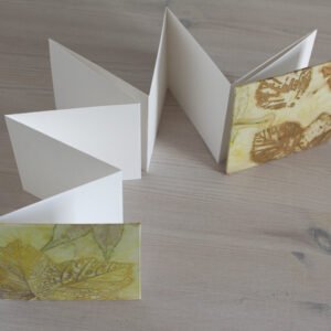 4x4 Concertina Books