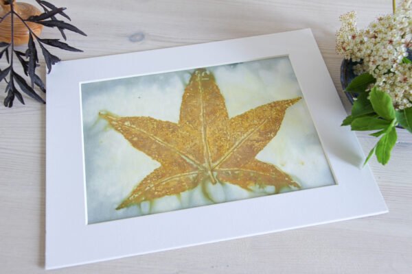 Blue Leaf Print XVI - 8x6 Original Ecodyed Art mounted to fit 10x8 frame - Image 4
