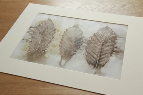 Chestnut Trio - 12x8 Original Ecoprint Art mounted to fit 16x12 frame - Image 3
