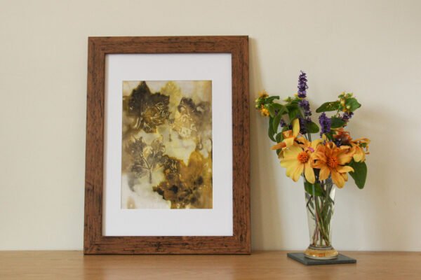Orange Leaf Print VI - A4 Original Ecoprint Art mounted to fit A3 frame - Image 2