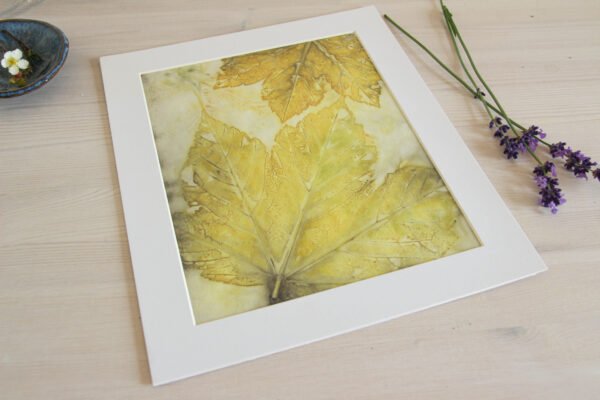 Sycamore Pair - 8x10 Original Ecoprint Art mounted to fit 10x12 frame - Image 4