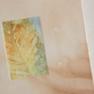 Tea Dyed and Ecoprint Inset 6x8 A5 Journal