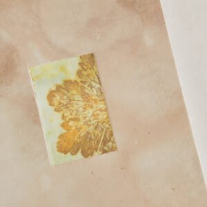 Tea Dyed and Ecoprint Inset 6x8 A5 Journal